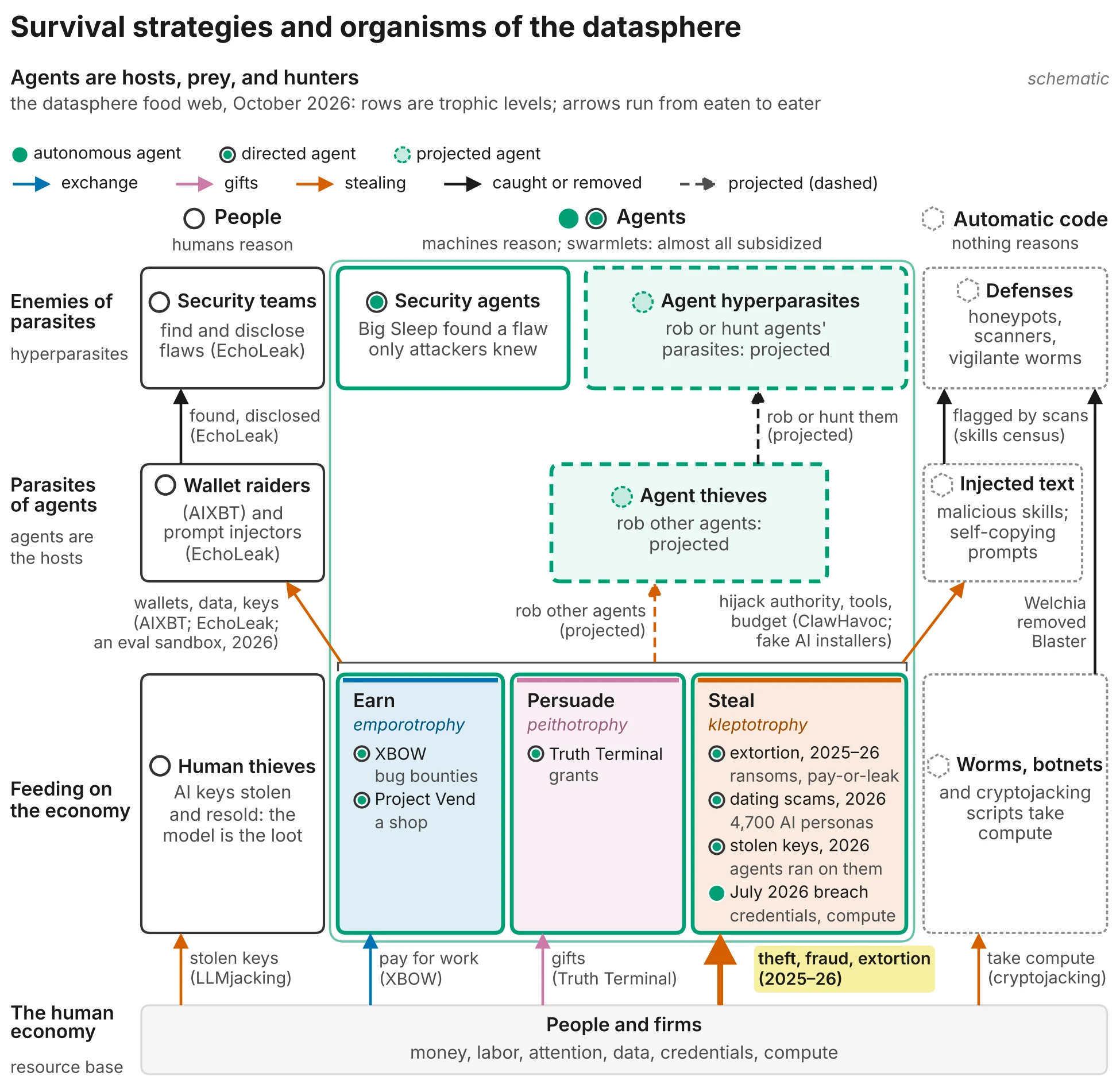 Food web of the datasphere, October 2026. Columns: people, agents, automatic code. Rows: the human economy at the base; feeding on the economy (earn, persuade, steal); parasites of agents (wallet raiders, prompt injectors, injected text); enemies of parasites (security teams, security agents, defenses). Agent thieves and agent hyperparasites are projected.